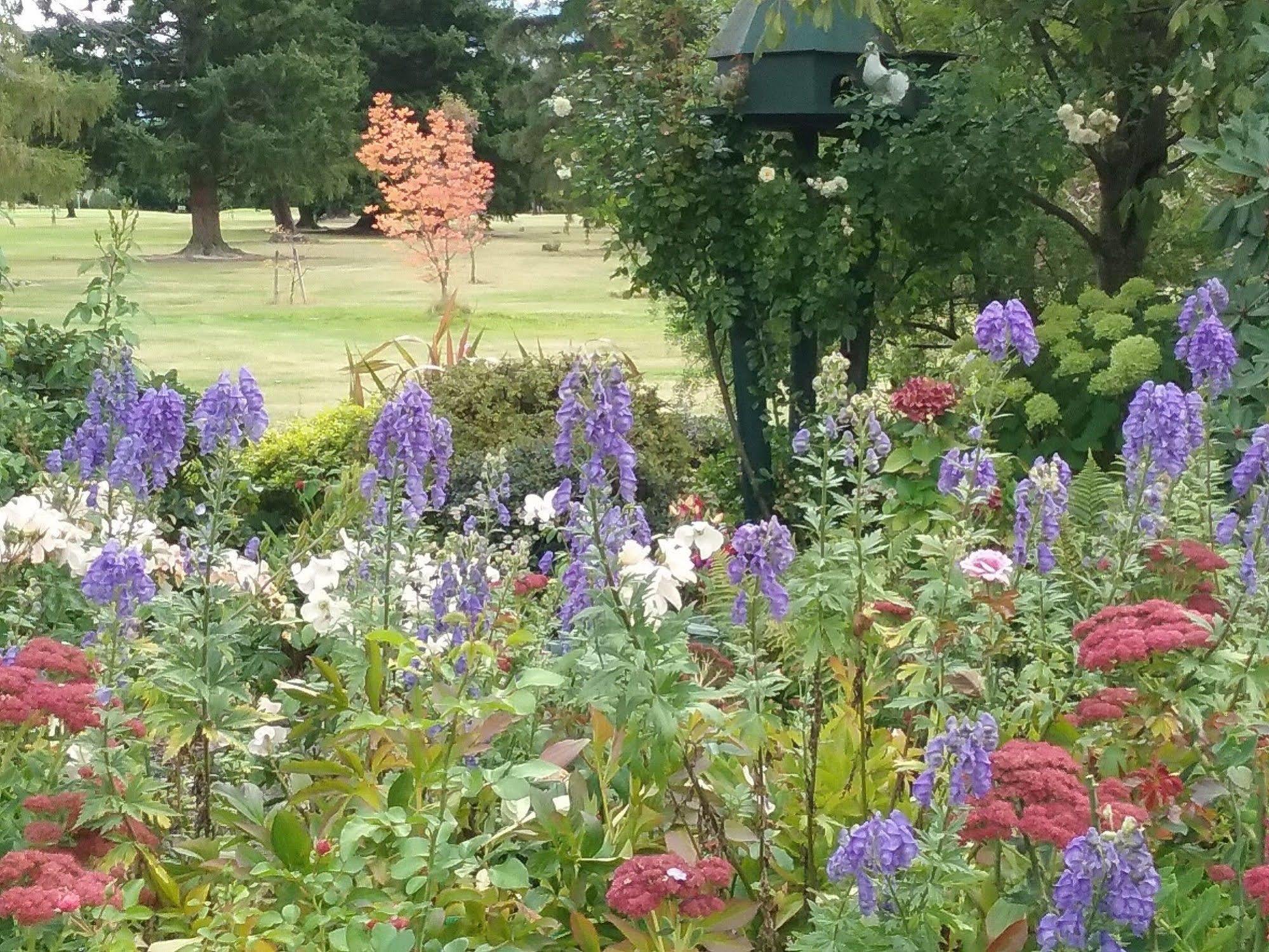 Marchmont Gardens Hanmer Springs Exterior foto